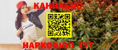 индика Усть-Джегута