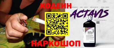 индика Усть-Джегута