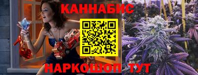 индика Усть-Джегута