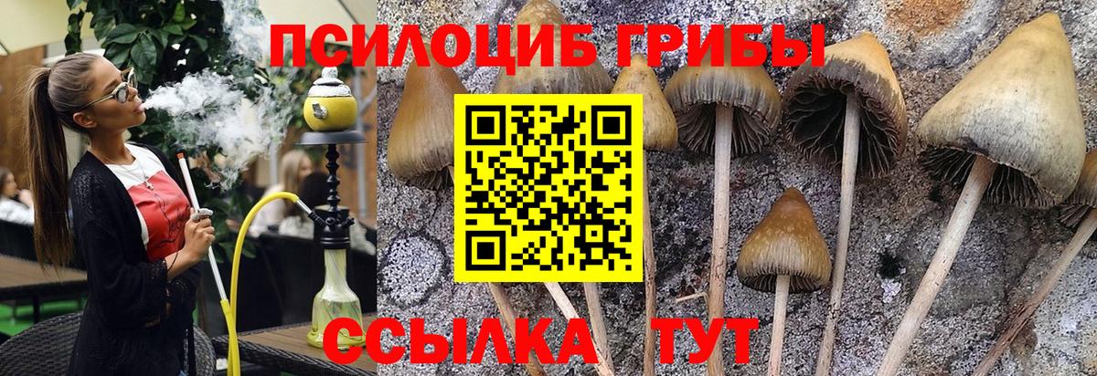 Галлюциногенные грибы MAGIC MUSHROOMS Мытищи