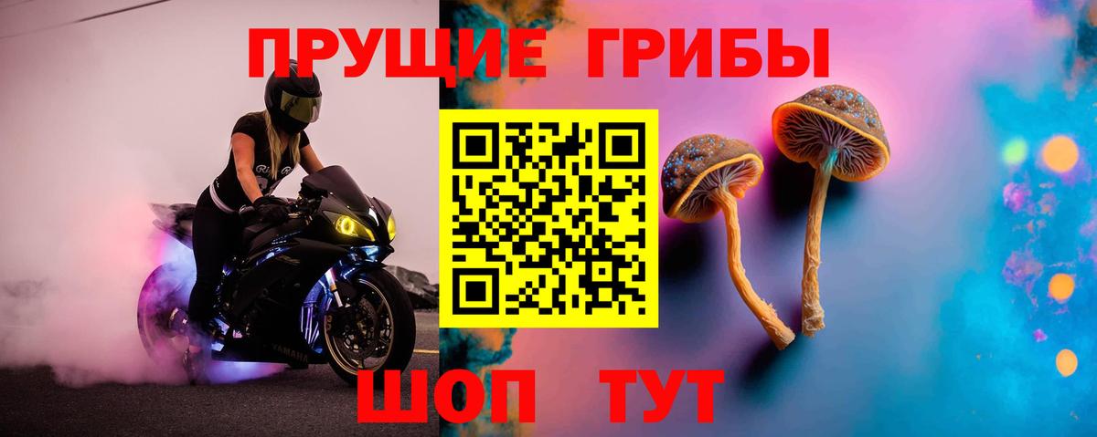 дарнет шоп  Галлюциногенные грибы Cubensis  Мытищи  Вход с VPN  Галлюциногенные грибы ЛСД 